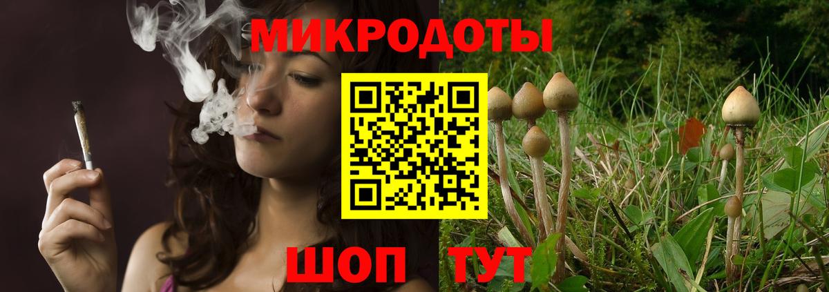 Галлюциногенные грибы Cubensis  Вход с VPN  Краснокаменск 